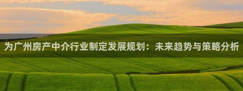 胡和记官网：为广州房产中介行业制定发展规划：未来趋势与策略分
