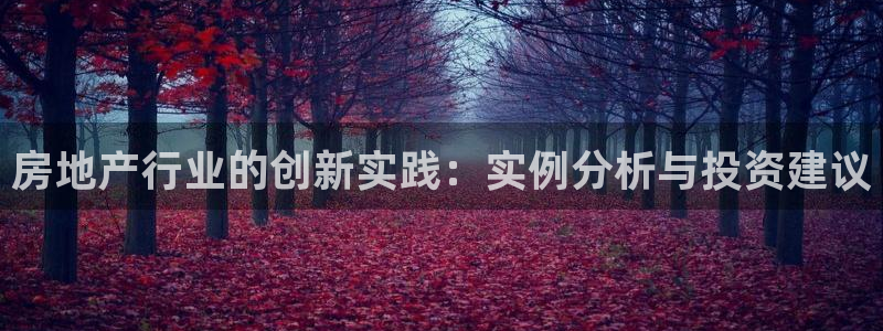郑州和记酒业官网：房地产行业的创新实践：实例分析与投资建议