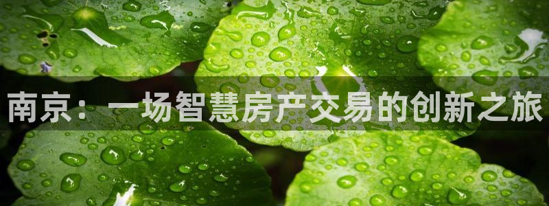 和生记官网：南京：一场智慧房产交易的创新之旅