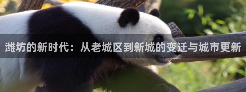 和记官网ap：潍坊的新时代：从老城区到新城的变迁与城市更新