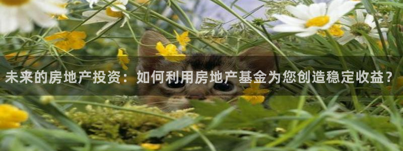 和记h8官网：未来的房地产投资：如何利用房地产基金为您创造稳