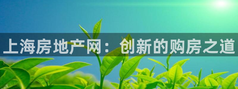 和记娱乐场所官网：上海房地产网：创新的购房之道