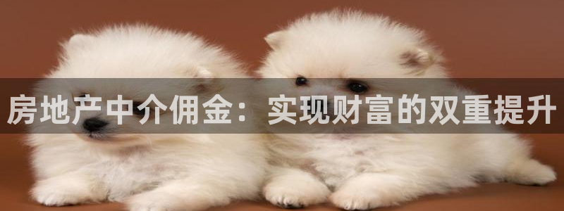 和记 官网：房地产中介佣金：实现财富的双重提升