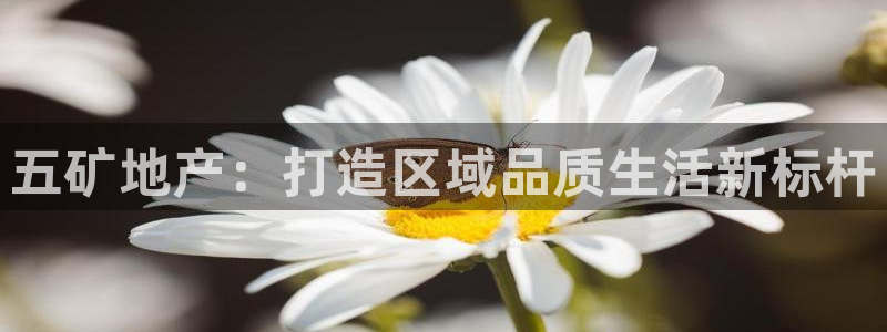 上海和记官网：五矿地产：打造区域品质生活新标杆