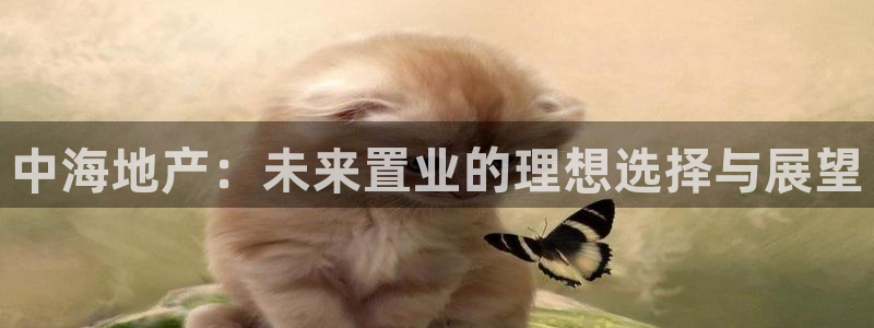 和记官网手机：中海地产：未来置业的理想选择与展望