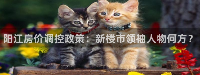 和记3官网：阳江房价调控政策：新楼市领袖人物何方？