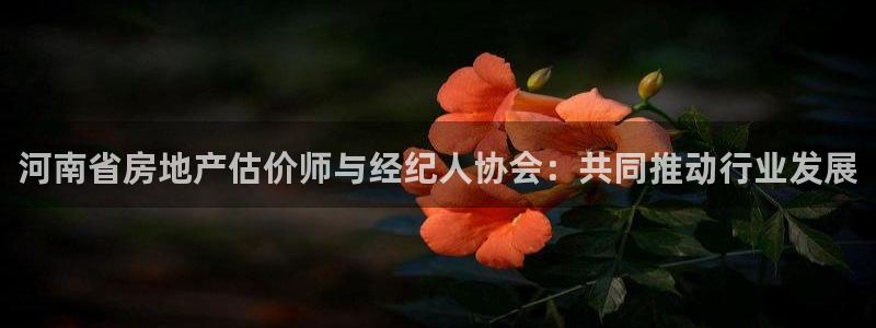 和记黄埔上海官网：河南省房地产估价师与经纪人协会：共同推动行