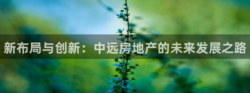 和记官网地址：新布局与创新：中远房地产的未来发展之路